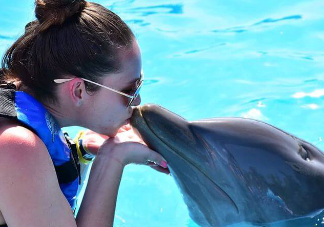 actividades con delfines