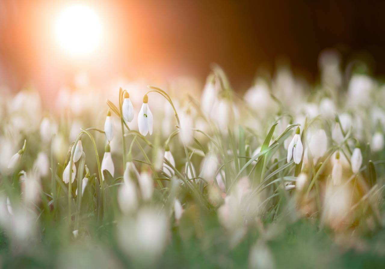 Que es un equinoccio de primavera